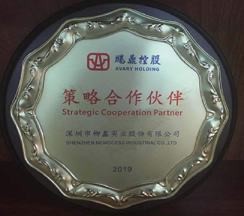 2019Pengding戦略的パートナー